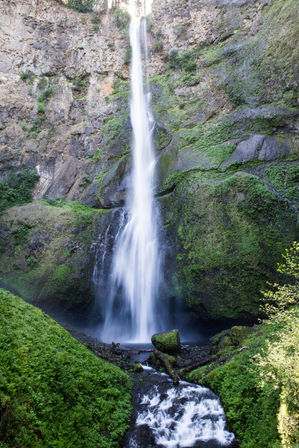 Hop-On Hop-Off Trolley Tour of World-Famous Waterfall Corridor Along the Historic Columbia River Highway image 13