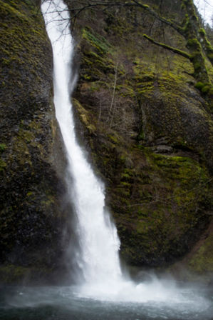 Hop-On Hop-Off Trolley Tour of World-Famous Waterfall Corridor Along the Historic Columbia River Highway image 19