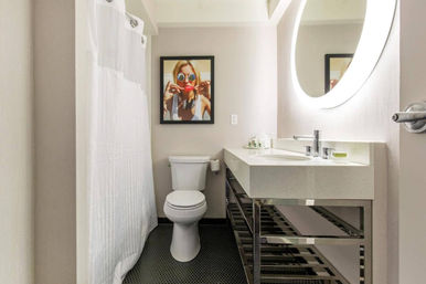 The Chicago Hotel Collection Magnificent Mile Hotel & Suites image 13