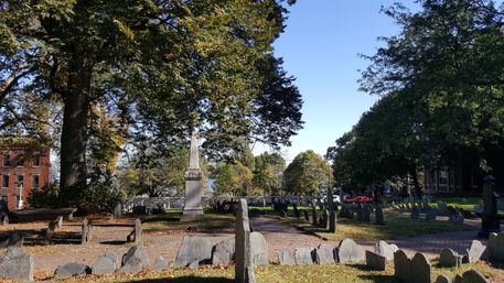 Boston Land & Sea Tour: Explore by Land and Water image 5