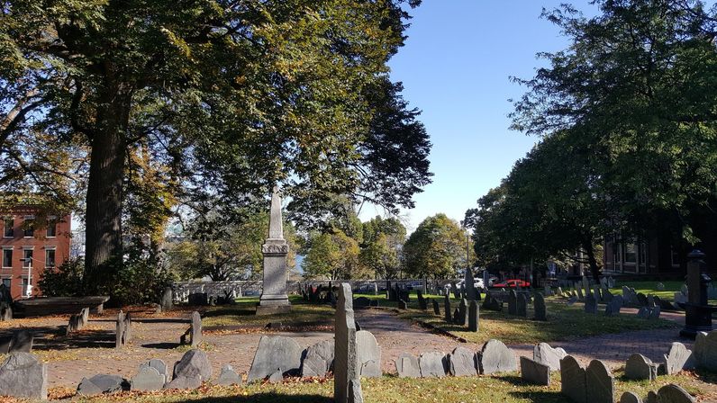 Boston Land & Sea Tour: Explore by Land and Water image 5