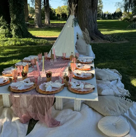 Simply Sweet: Elegant & Insta-Worthy Picnic Set-Up image 1