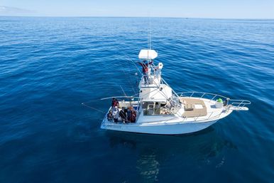 Deep Sea Fishing Experience: Private Charter on Dr Prescado image 3
