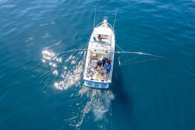 Deep Sea Fishing Experience: Private Charter on Dr Prescado image 2
