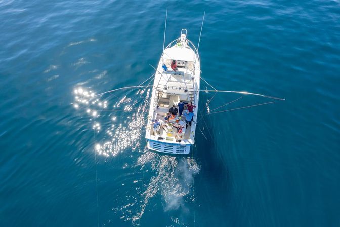 Deep Sea Fishing Experience: Private Charter on Dr Prescado image 2