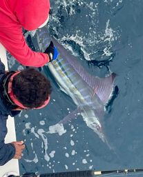 Deep Sea Fishing Experience: Private Charter on Dr Prescado image 9