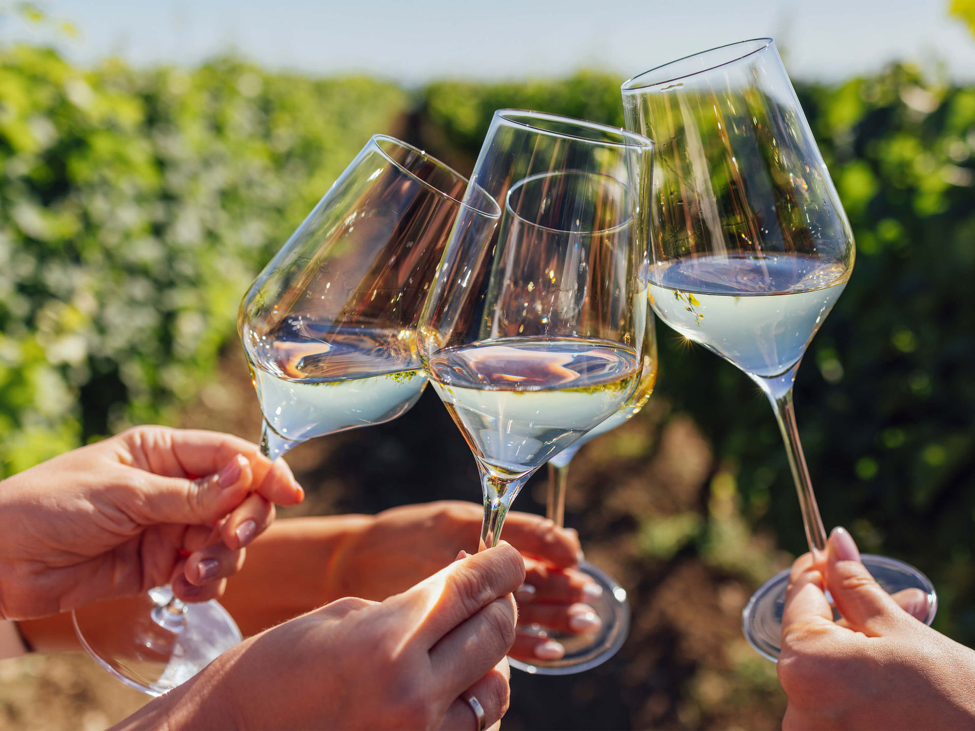Temecula Valley Wine Tour: Local Pickup with 3-4 Winery Stops image 1