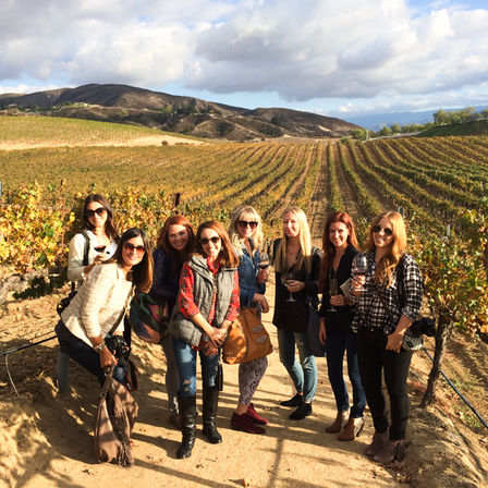 Temecula Valley Wine Tour: Local Pickup with 3-4 Winery Stops image 2