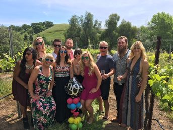 Wine Down in Wine Country: Napa Valley's Silverado Trail Wine Tour image 5