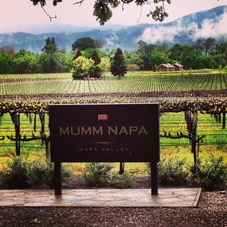 Wine Down in Wine Country: Napa Valley's Silverado Trail Wine Tour image 4