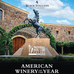 Wine Down in Wine Country: Napa Valley's Silverado Trail Wine Tour image 6