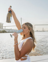 Private Party Boat Cruise with Dolphins, Charcuterie & Stunning Photo Ops image 1