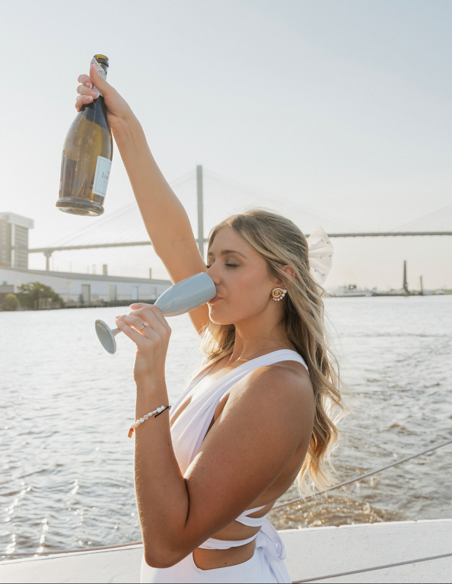 Private Party Boat Cruise with Dolphins, Charcuterie & Stunning Photo Ops image 1