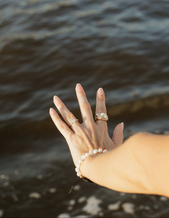 Private Party Boat Cruise with Dolphins, Charcuterie & Stunning Photo Ops image 3