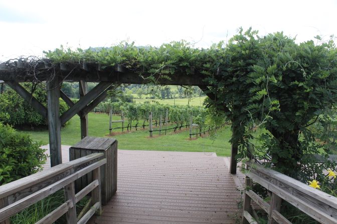 Sip, Savor, Celebrate: The Ultimate Hillsboro Bachelorette Experience image 12