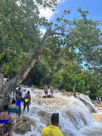 Customized Island Adventures with Jamaica Taxi: Waterfalls, Beaches, Bars, Boats & More image 12