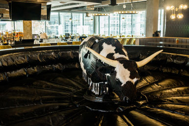 Bull & Brunch: Bottomless Mimosas and Mechanical Bull Rides image 10