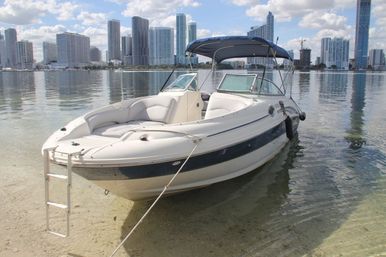 26' Sea Ray Sundeck Yacht Rental: Up to 11 Guests image 6
