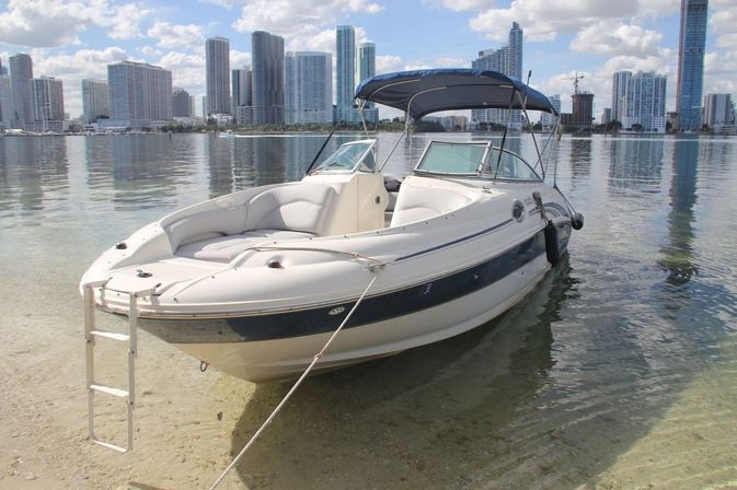 26' Sea Ray Sundeck Yacht Rental: Up to 11 Guests image 6