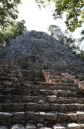 Weathered stone steps of an ancient pyramid at a Central American jungle archaeological site, rising into sunlit tropical trees