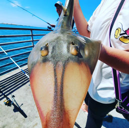 Hooked in SoCal: Private Pier Fishing Adventure with Gear Included image 3