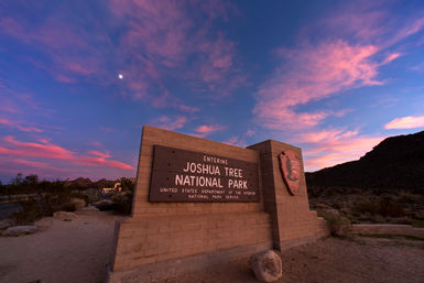 Joshua Tree Tours: Hikes, Trails, Rock Climbing, and Stunning Views image 2