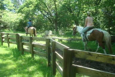Horseback Riding Tour in the Ozark Hills on Local 120-Acre Family Farm image 4