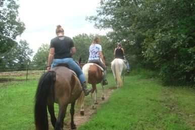 Horseback Riding Tour in the Ozark Hills on Local 120-Acre Family Farm image 10