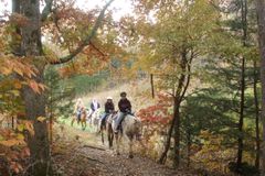 Thumbnail image for Horseback Riding Tour in the Ozark Hills on Local 120-Acre Family Farm