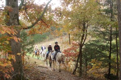 Horseback Riding Tour in the Ozark Hills on Local 120-Acre Family Farm image 1