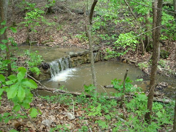 Horseback Riding Tour in the Ozark Hills on Local 120-Acre Family Farm image 9