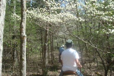 Horseback Riding Tour in the Ozark Hills on Local 120-Acre Family Farm image 8