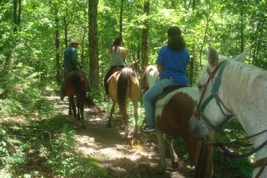 Horseback Riding Tour in the Ozark Hills on Local 120-Acre Family Farm image 2