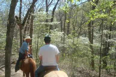 Horseback Riding Tour in the Ozark Hills on Local 120-Acre Family Farm image 7