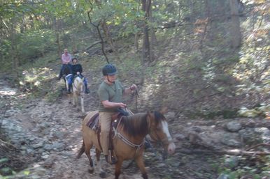 Horseback Riding Tour in the Ozark Hills on Local 120-Acre Family Farm image 12