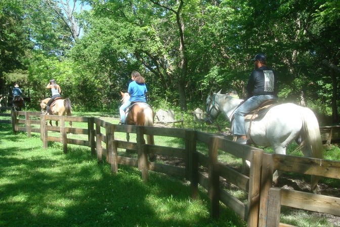 Horseback Riding Tour in the Ozark Hills on Local 120-Acre Family Farm image 6