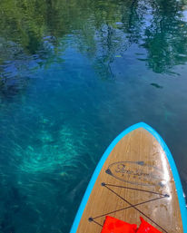 Dolphin and Manatee Adventure Tour by Paddleboard (Cocoa Beach/Merritt Island) image 2