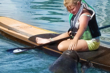 Dolphin and Manatee Adventure Tour by Paddleboard (Cocoa Beach/Merritt Island) image 8