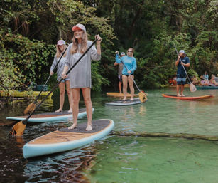 Dolphin and Manatee Adventure Tour by Paddleboard (Cocoa Beach/Merritt Island) image