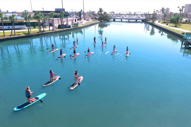 Dolphin and Manatee Adventure Tour by Paddleboard (Cocoa Beach/Merritt Island) image 11