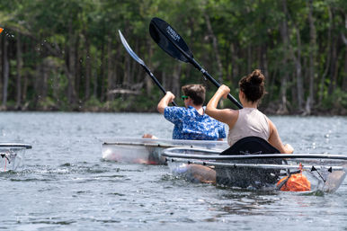 Natural Beauty Insta-Worthy Clear Kayak Tour Through the Mangroves image 1