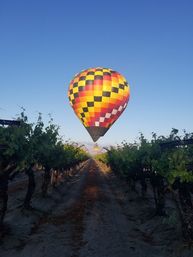 Hot Air Balloon Flights: Experience Coachella Valley from the Sky image 4