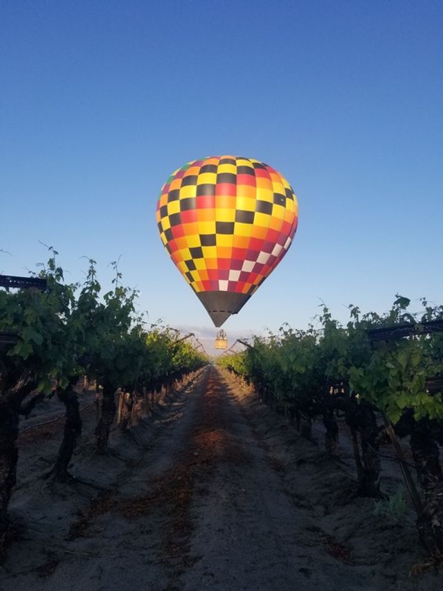Hot Air Balloon Flights: Experience Coachella Valley from the Sky image 4
