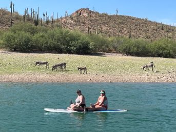 Lake Pleasant Pontoon Boat Rental With Captain & All The Extras Included! image 22