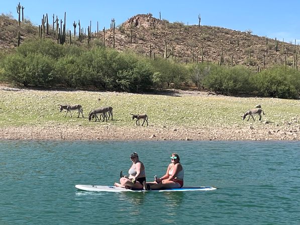 Private Pontoon Charter with Captain, Lake Pleasant.  Paddleboards, Water toys, Bathroom... image 29