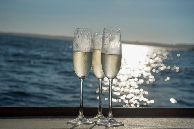 BYOB New England Picnic Cruise image 6