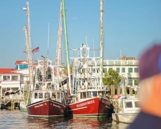 Private 50ft Catamaran Sail - Charleston Harbor up to 100 People image 6