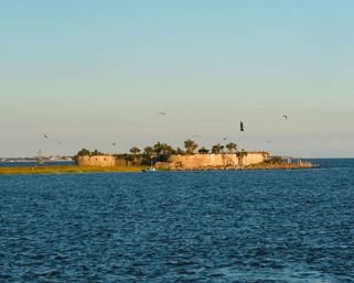 Private 50ft Catamaran Sail - Charleston Harbor up to 100 People image 15
