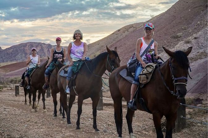 Scenic Mountain Horseback Riding Tour: Saddle Up with Meal Options image 28