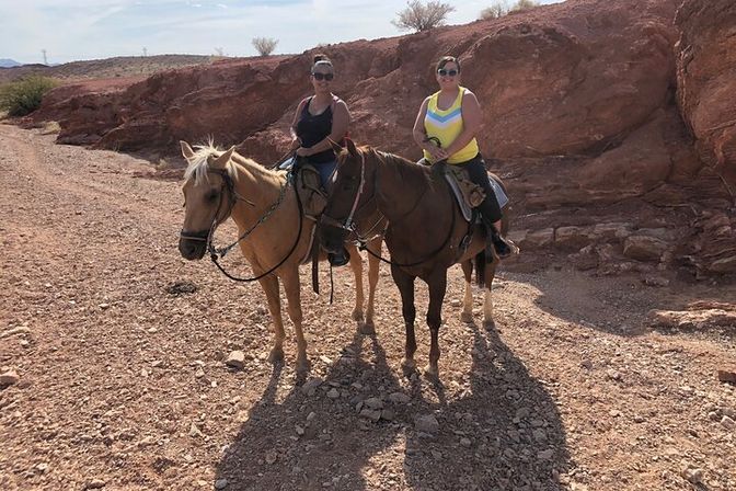 Scenic Mountain Horseback Riding Tour: Saddle Up with Meal Options image 17